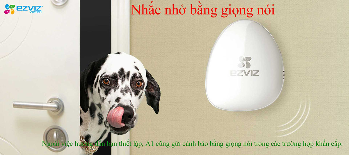 quangminhmsc.vn